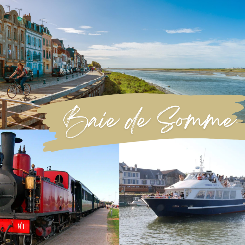 Une journée en BAIE DE SOMME