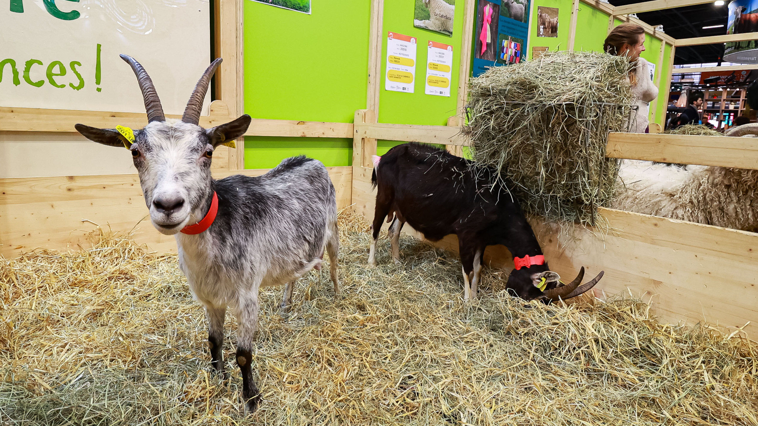 Salon International de l'Agriculture 2027