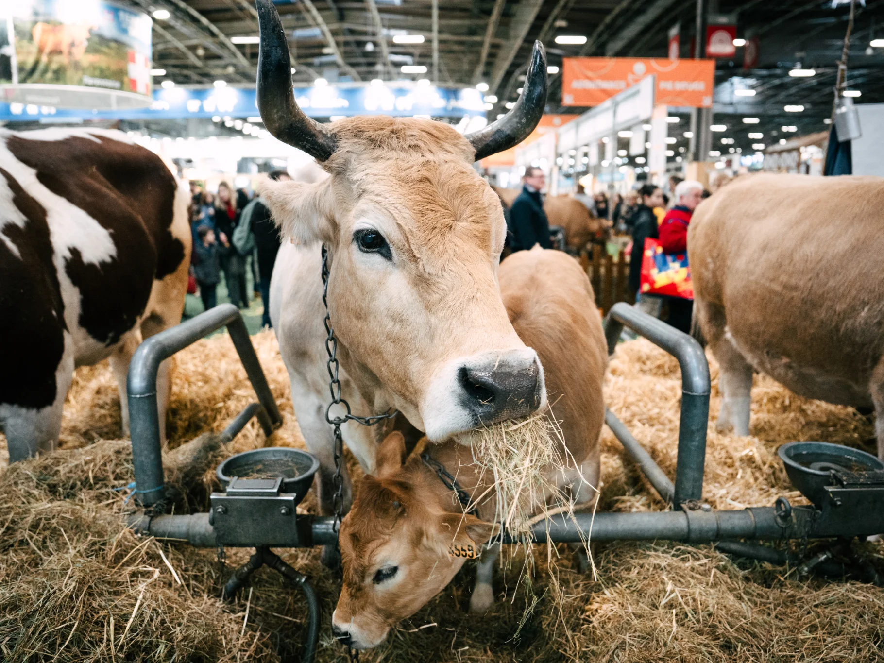 Salon International de l'Agriculture 2027 – Image 2